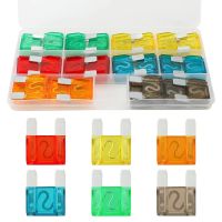 【DT】hot！ 24-Piece ATX Fuse 6 Sizes 20A 30A 40A 50A 60A 70A (24PCS)