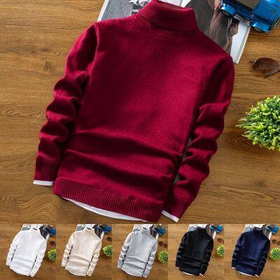 CODTheresa Finger New Sweater Mens Fashion Casual Solid Color Long-sleeved High Collar Warm Knit Sweater