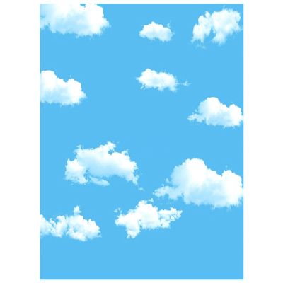 3x5ft Blue Sky White Cloud Photography Backdrop Screen Background Studio Props