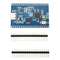 For RP2040 Development Board 32Mbit Flash RP2040 Dual-Core Processor Micropyth Development Boards Easy Install