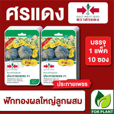 ผักซอง ศรแดง เมล็ดพันธุ์ พันธุ์ผัก ฟักทอง ประกายเพชร F1 บรรจุแพ็คล่ะ 10 ซอง ราคา 225 บาท