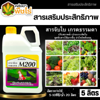 ? จับใบ M200 (ตราหมาแดง) 5ลิตร เกาะติด ดูดซึมดี ทนการชะล้าง