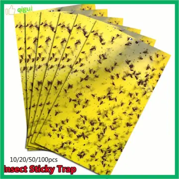 10pcs,Sticky Trap Fruit Fly Pest Insect Trap Catchers Yellow