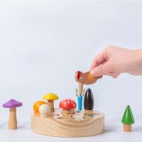 Montessori Toy Wooden Woodpecker Catching Worms Mushroom Picking Board Games Pretend Toys Learning Educational Toys for Children