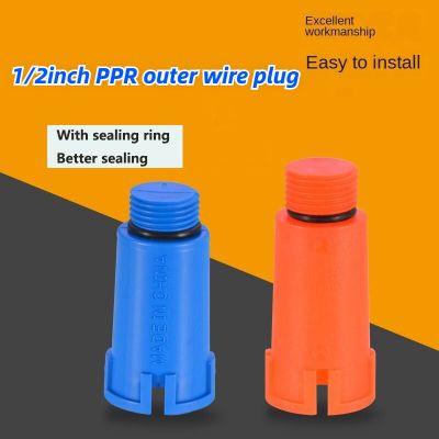 1/2＂ Extension Plug PPR Pipe Cap 20 Pressure Resistant Outer Wire Non-raw Material with Sealing Mechanical Water Pipe Fittings Pipe Fittings Accessori