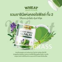 วีทกราส อัลฟาฟ่า คลอโรฟิลล์  ยูมิโกะ แบบใหม่ 200 กรัม Wheatgrass Alfalfa yumiko 200 g