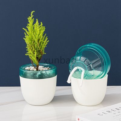 [Like Activities]น้ำดูดซับน้ำอัตโนมัติฟรีกระถางดอกไม้ Lazy Succulent Desktop ResinFlowerpot