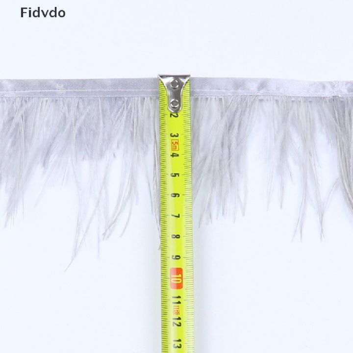 fidvdo-ริบบิ้นขนนกกระจอกเทศ-6-8-ซม-ยาว-1-เมตร-สําหรับตกแต่งชุดเดรส-diy