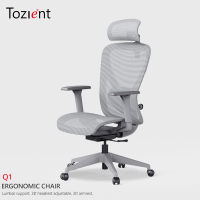 TOZIENT Q1 ตาข่าย Ergonomic Office เก้าอี้/Study Gaming เก้าอี้/เก้าอี้รองรับเอว/เก้าอี้ตาข่าย 3D กลับสนับสนุนสำหรับ Home