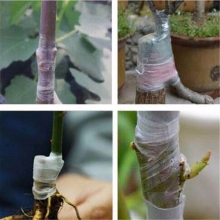 4-rolls-tape-repair-film-moisture-graft-budding-parafilm-pruning-pruner-plant-nursery-seedling-garden-fruit-tree-barrier