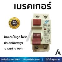 รุ่นขายดี เบรคเกอร์ งานไฟฟ้า BF เมนเบรคเกอร์กันดูด 2 สาย 63 แอมป์ RCBO-63  ตัดไฟ ป้องกันไฟดูด ไฟรั่วอย่างมีประสิทธิภาพ รองรับมาตรฐาน มอก Circuit Breaker จัดส่งฟรี Kerry ทั่วประเทศ