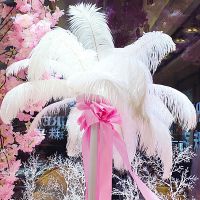 Halloween decoration Ostrich feather white color wedding ostrich feather big feather road guide photo props and decorations Internet celebrity pink ins