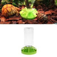 Reptile Water Drinker Dispenser Food Bowl Lizard Feeder Round Dish Bottle