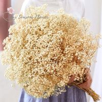 hotx【DT】 40g/80g Dried Baby Breath Flowers Bouquets Colorful Dry Gypsophile Wedding Decoration
