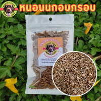 หนอนนกอบแห้ง หนอนอบกรอบ Dried Mealworms (หนอนคัด+ไม่คัดตัวหนอน) 20-50 กรัม (Pet)ชูการ์,หนูแฮมเตอร์,เม่นแคระ,นก,ปลา