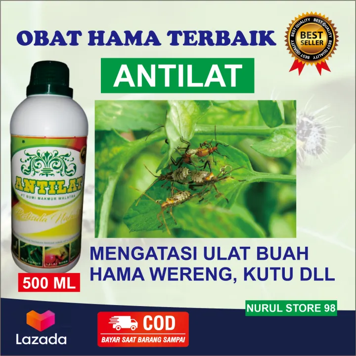 Terlaris Insektisida Organik Hama Walang Sangit Terlaris Pestisida Nabati Antilat Obat Hama 3806