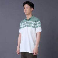 SAGE LEAF GREEN REGULAR FIT STRIPE POLO SHIRT เสื้อโปโลสีเขียว SAGE LEAF GREEN ลายริ้วทรงเรกูล่าร์ฟิต