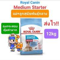 Royal Canin Medium Starter 12kg ถุงใหญ่ โรยัลคานิน สุนัขพันธุ์กลาง หมาท้อง แม่หมา ลูกหมาแรกคลอด กระสอบ 12 กิโลกรัม