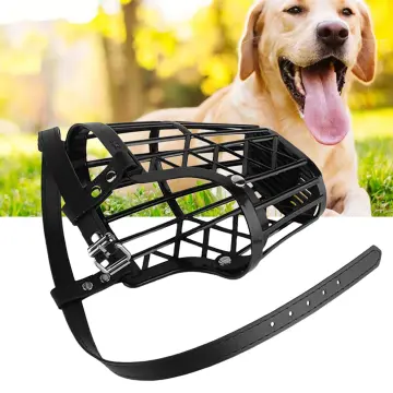 Dog muzzle hotsell for bathing