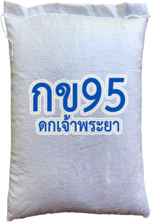 ส่งฟรี-กข95-ดกเจ้าพระยา