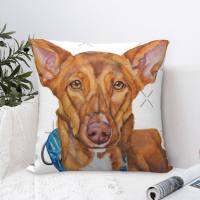 (All inventory) Podenco Analuz pillowcase pillowcase pillowcase home decor (contact seller support for free customization) Double sided printing design for pillows)