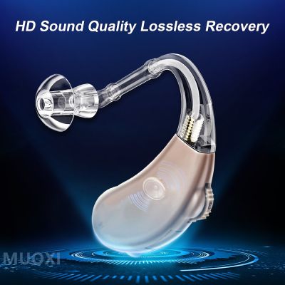 ZZOOI Siemens 4 channel best Mini Digital Hearing Aid Sound Amplifier for Elderly Deafness BTE Audio Amplifier Ear Aids Adjustable