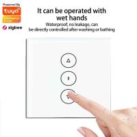 【YD】 Tuya Zigbee Curtain Blinds Engine App Timer