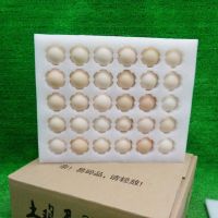 EPE Foam For 20/25/30 Holes Eggs Packaging Materials Packing Pallet Buffer Packing Foam