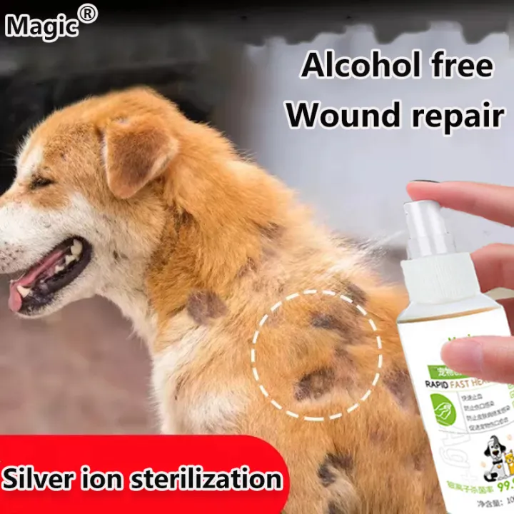 🐾Safe and effective 🐾 pet Antibacterial wound spray 100mL fastly help