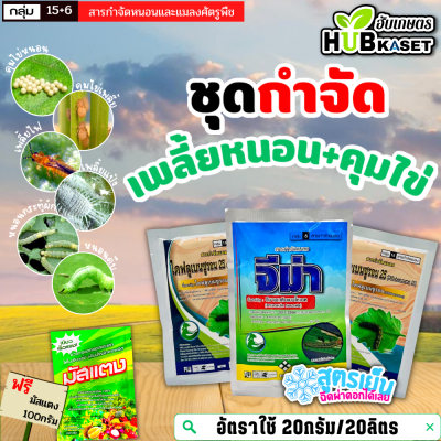 ชุดคุมไข่ จีม่า+ไดฟลูเบนซูรอน 100กรัม+50กรัม*2ซอง กำจัดเพลี้ยทุกชนิด หนอนม้วนใบ หนอนกัดใบ ฟรีมัสแตง 100กรัม