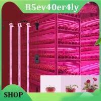 B5ev40er4ly Shop Plants Full Spectrum LED flower Grow tent box Light grow Greenhouse Phyto lamp kit red blue veg Indoor Cultivation Growth Lights