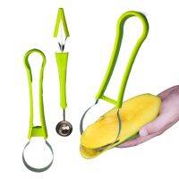 4 In 1 Stainless Steel Fruit Carving Kit Melon Baller Scoop/Peeler/ Fruit Corer Set Perfect For Watermelon Cantaloupe Pitaya