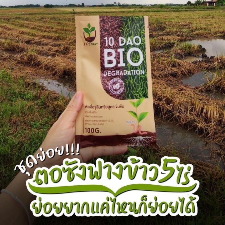 10ดาว-ไบโอ-bio-ช่วยย่อยสลายใบไม้-ฟางข้าว-ซังข้าว-ไม่ต้องเผา-ปลอดสารเคมี