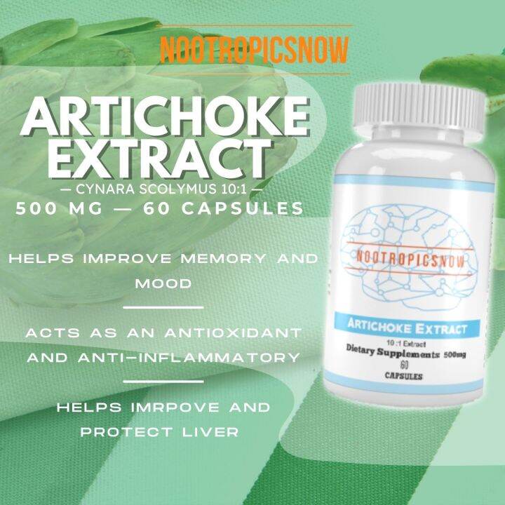 Nootropicsnowph Store Artichoke Extract 500 mg, 101 (60 capsules, 60