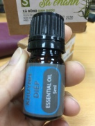 HCMTinh Dầu Khuynh diệp nguyên chất 5ml 100% natural