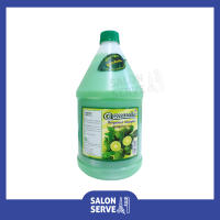 ออเลนติส แชมพู หัวมะกรูด Aulentis Bergamot Shampoo 3200cc