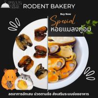 [Paws-sible] Rodent Bakery: Dried Green Lipped Mussels