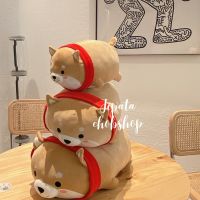 JIPATACHOBSHOP ตุ๊กตาน้อนชิบะ ตุ๊กตาชิบะ ?