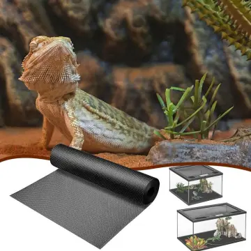 9 Pcs Lizard (Cicak/Gecko) Sticky Smart Trap / Lizard Killer DIY