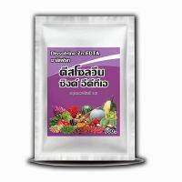 ธาตุสังกะสี 15% ดีสโซลวีน ซิงค์ สูตรเข้มข้น บริษัทชาลีเฟรท ขนาดบรรจุ 100 กรัม ดิสโซวีนฮอร์โมนพืช ซิงค์ (1 ซอง)
