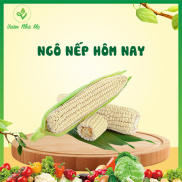 Ngô nếp Vườn Nhà Mẹ - 1kg bắp nếp dẻo ngon, ngọt bùi - Rau củ quả tươi