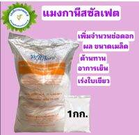 แม่ปุ๋ย แมงกานีสซัลเฟต 32% Manganese Sulfate บำรุงใบ บรรจุ 1 กิโลกรัม (แบ่งขาย)