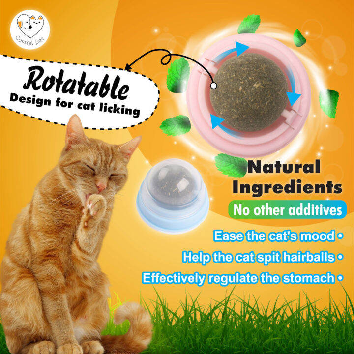 【CASSIEL PET】10g/45ML Catnip for Cats Cat Treat Promote