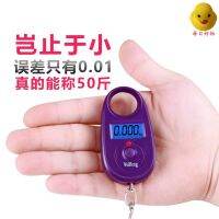 German Fish Scale Handheld Portable Electronic Scale Hook Portable Small Grocery Shopping Accurate Household Mini Scale