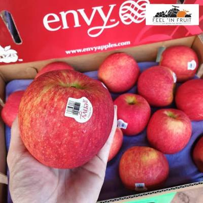 ส่งฟรีรถเย็น! แอปเปิ้ลเอนวี่ Envy ™ 🍎✨  (35 ลูก) รสหวานหอม ฉ่ำน้ำชุ่มคอ เนื้อแน่นกรอบละมุน