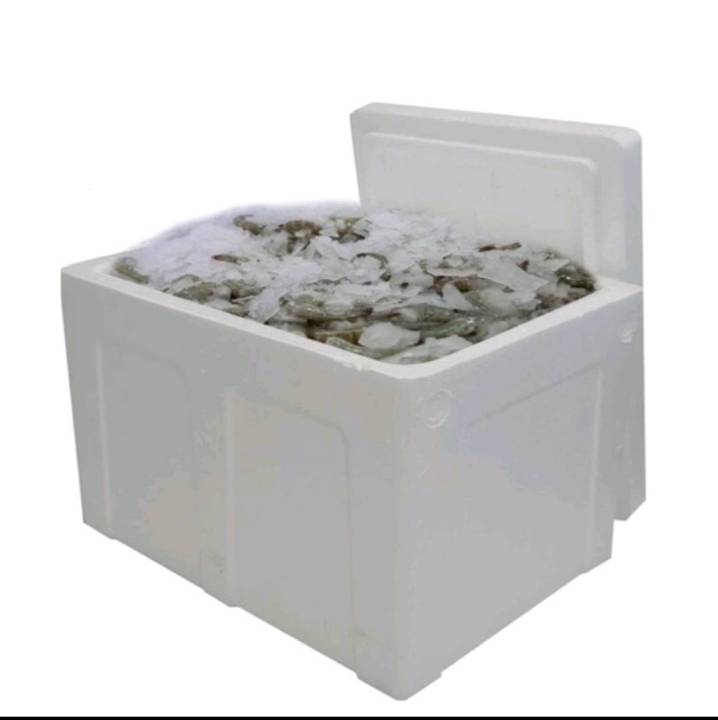 กล่องโฟม-ลังโฟม-กล่องโฟมปิคนิค-กล่องเก็บความเย็น-กล่องโฟมเก็บความเย็น-กล่องเก็บอาหาร-ทรงสี่เหลี่ยม-ขนาด-6-กก