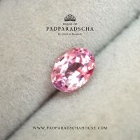 พัดพารัดชา ไพลินพัดพารัดชา 0.97 กะรัต Padparadscha Sapphire