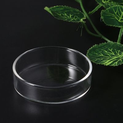 Clear Glass Shrimp Food Round Dishes Small Fish Feeding Bowl Ornamental Supplies