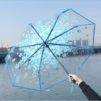 Transparent Umbrella Sakura Umbrella Women Anti-UV SunRain Umbrella Rain Gear