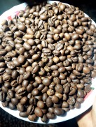 CAFE CULI ROBUSTA RANG XAY NGUYÊN CHẤT THƯỢNG HẠNG